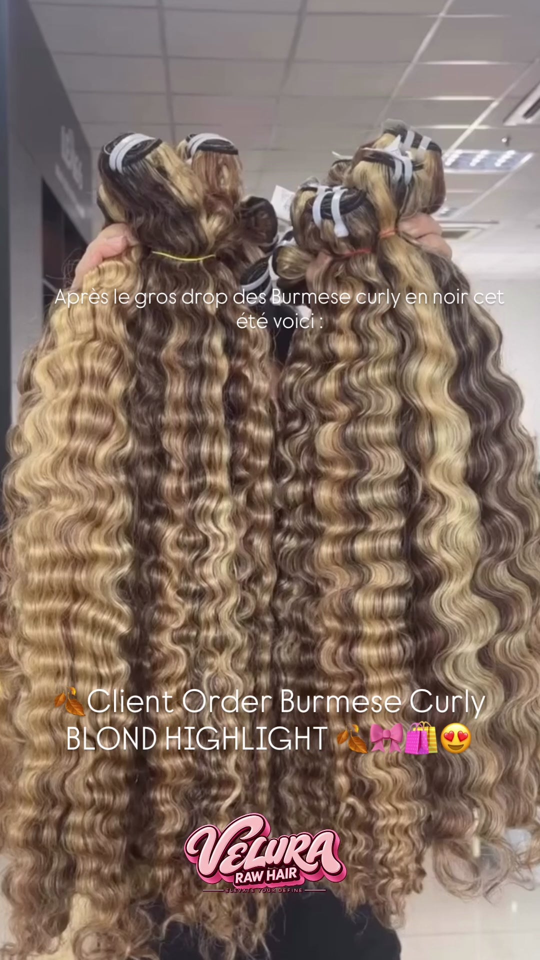 LATTO BLOND BURMESE CURLY VIRGIN